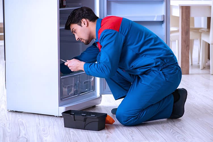 Freezer Repair Service in Dubai